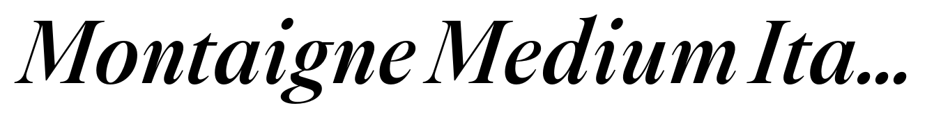 Montaigne Medium Italic
